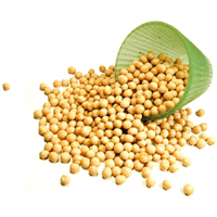 Nirav Yellow Whole Peas (White Vatana) - 4 lbs - PACK of 6 (6 x 4 lbs bag)