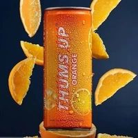 Thums Up - Orange (8.5 Fl oz Can)