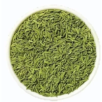 Bansi Fennel Seeds (Lucknowi) (14 oz pack)