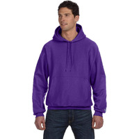 Champion Reverse Weave Sweatshirt S101 M Purple