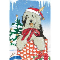 212 Main Holiday Boxed Cards- Old English Sheepdog