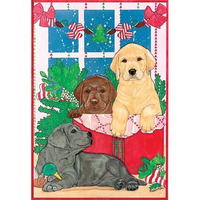 212 Main Holiday Boxed Cards- Labrador Retrievers Three Colors