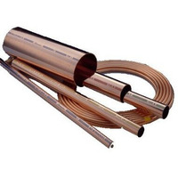 Mueller 3/4 in. Dia. x 5 ft. L Type L Copper Water Tube