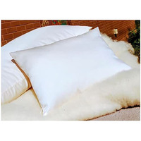 Organic Cotton Organic Cotton Toddler Pillow in Org Sateen Sheeting Case