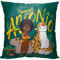 Northwest Disney Pillow, 18  x 18 , Animal Whisperer Antonio