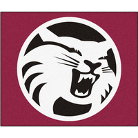 FANMATS Sports Team Logo Mat Cal State - Chico Tailgater Rug 60  72