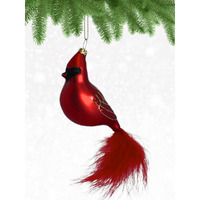 Cobane Studio LLC COBANEC304 Cardinal ith Feather Tail Ornament