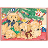 Pipsqueak Productions C816 Golden Holiday Boxed Cards