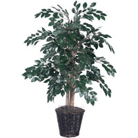 Vickerman TBU0740 Everyday Sakaki Bush, Green Dark, 4'