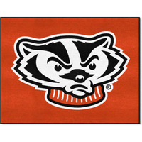 FANMATS NCAA University of Wisconsin Badgers Nylon Face All-Star Rug , 34 x45