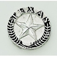 Peel & Press Texas Star Icon, SP 1  x 1