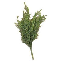 CWI Gifts Dill Leaves Bush, 15-Inch