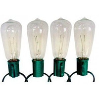 Celebrations Edison Style Replacement Bulbs 7 W Clear