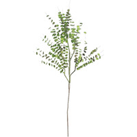 Kalalou Long Stem Eucalyptus, One Size, Green