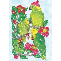 Pipsqueak Productions C872 Amazon Holiday Bird Christmas Boxed Cards - Pack of 10