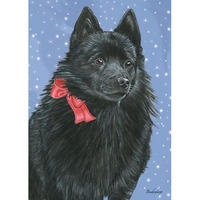 Pipsqueak Productions C708 Schipperke Christmas Boxed Cards - Pack of 10