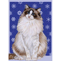 Pipsqueak Productions C546 Ragdoll Cat Christmas Boxed Cards - Pack of 10