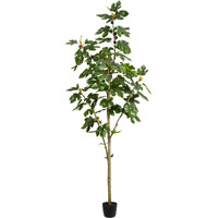 Vickerman Everyday Artificial Fig Leaf Tree 7ft Tall - Green Indoor Potted Fig Tree - Faux Decor for Home Or Office