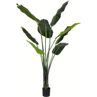 Vickerman Everyday 5' Artificial Potted Travellers Palm Tree with 8 Leaves and 4 Beautiful Flowers - Lifelike Home Or Office Decor - Premium Faux Potted Tree - Maintenance Free