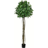 Vickerman Everyday Artificial Bay Leaf Tree 6 Foot Tall - Green Indoor Potted Topiary Tree - Faux Decor for Home Or Office Greenery