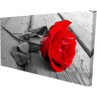 Begin Black and Red Rose - Print on Canvas Edition