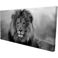 Begin Black and White Lion - Print on Canvas Edition