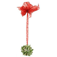 4 in. Mistletoe Ball with Berries, Green - Pack of 12