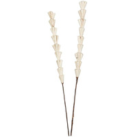 Vickerman 686140-24  Natural Sola Rajani Stick 24/bg (H7SRS900) Dried and Preserved Reeds and Bamboo