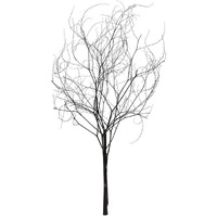 Vickerman 656235-18-20  Natural Brown Skeleton Branch 3Pk (H2SKB000-3) Dried and Preserved Branches