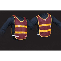 Reflective Standard Safety Vest Red/Gold XL