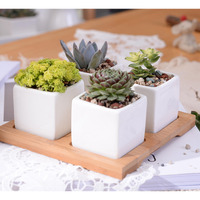 Splurg'd Studio Ceramic Square Flower Pot 4 Piece Set with Bamboo Tray