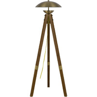 HomeRoots 526335 55 in. Tripod Floor Lamp with Antiqued Brass Dome Shade Brass