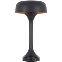 HomeRoots 524741 22 in. Metal Two Light USB Table Lamp with Bronze Dome Shade Bronze