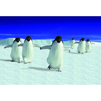 Gift Trenz Penguins Motion Postcard (20315)