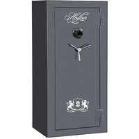 Hollon Crescent Shield Gun Safe Series - Gun Metal Gray