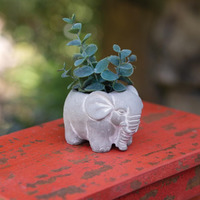 Colonial Tin Works Small Cement Elephant Pot, 2.5-inch Height, Box of 2, Home, Home Dcor