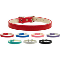 Dog, Puppy & Pet Plain Collar,  3/8  Wide  Turquoise 12