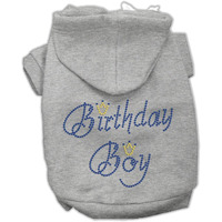 Birthday Pet Dog & Cat Hoodie Rhinestone,  Birthday Boy  Gray 3XL (25-35 lbs.)