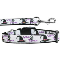 Halloween Pet Dog & Cat Nylon Collar or Leash, Witch and Famous LG Collar