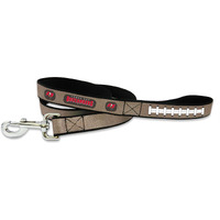 NFL Tampa Bay Buccaneers Reflective Football Leash, Small, Silver