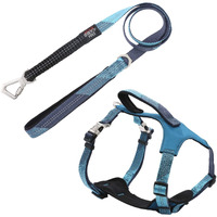 Pet Life  'Geo-prene' 2-in-1 Shock Absorbing Neoprene Padded Reflective Dog Leash and Harness