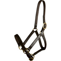 GATSBY LEATHER COMPANY 283541 Leather Halter Havanna Brown, Horse