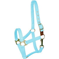 Gatsby Nylon Safety Breakaway Halter Foal Blue