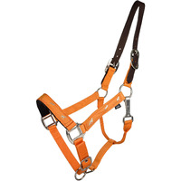 Gatsby Nylon Breakaway Halter Overlay Horse Orange