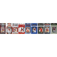 C&I Collectables NHL Detroit Red Wings Trading Cards, White, One Size