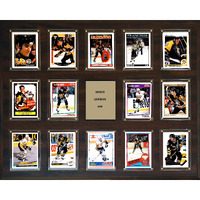 C&I Collectables NHL Pittsburgh Penguins Plaque, Brown, 16 x20