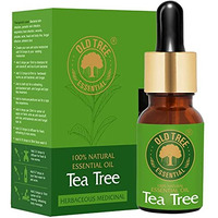 Old Tree Pure & Natural Tea Tree Essential Oil (15ml) - for Skin, Diffusers, Hair, Body, Acne, Nail care - Undiluted Essential Oil with Dropper for Aroma Therapy and Stress Relief