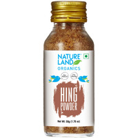 Natureland Organics Heeng Powder 50 gm (Pack of 2)