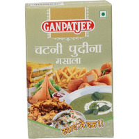 Ganpatjee Pudina Chutney Masala, 200G | PACK OF 100G X 2 | Ready To Use Mint Chutney Masala