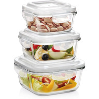 Borosil Glass Container Set, Set of 3 (320ml, 520ml & 800ml), Transparent